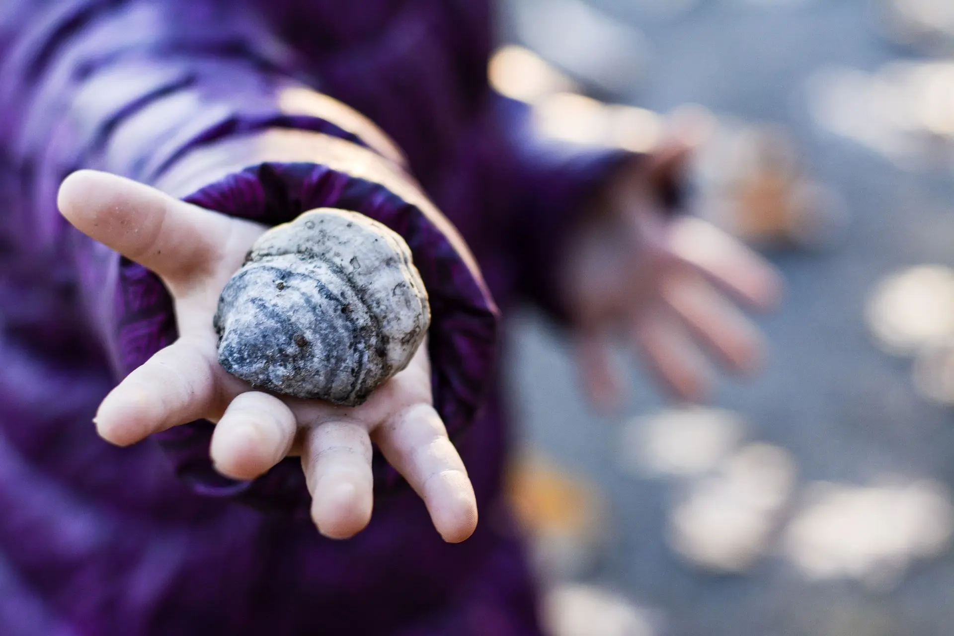 Atelier enfant coquillage