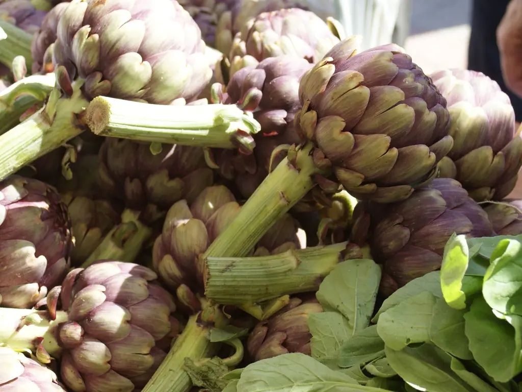 fête artichaut