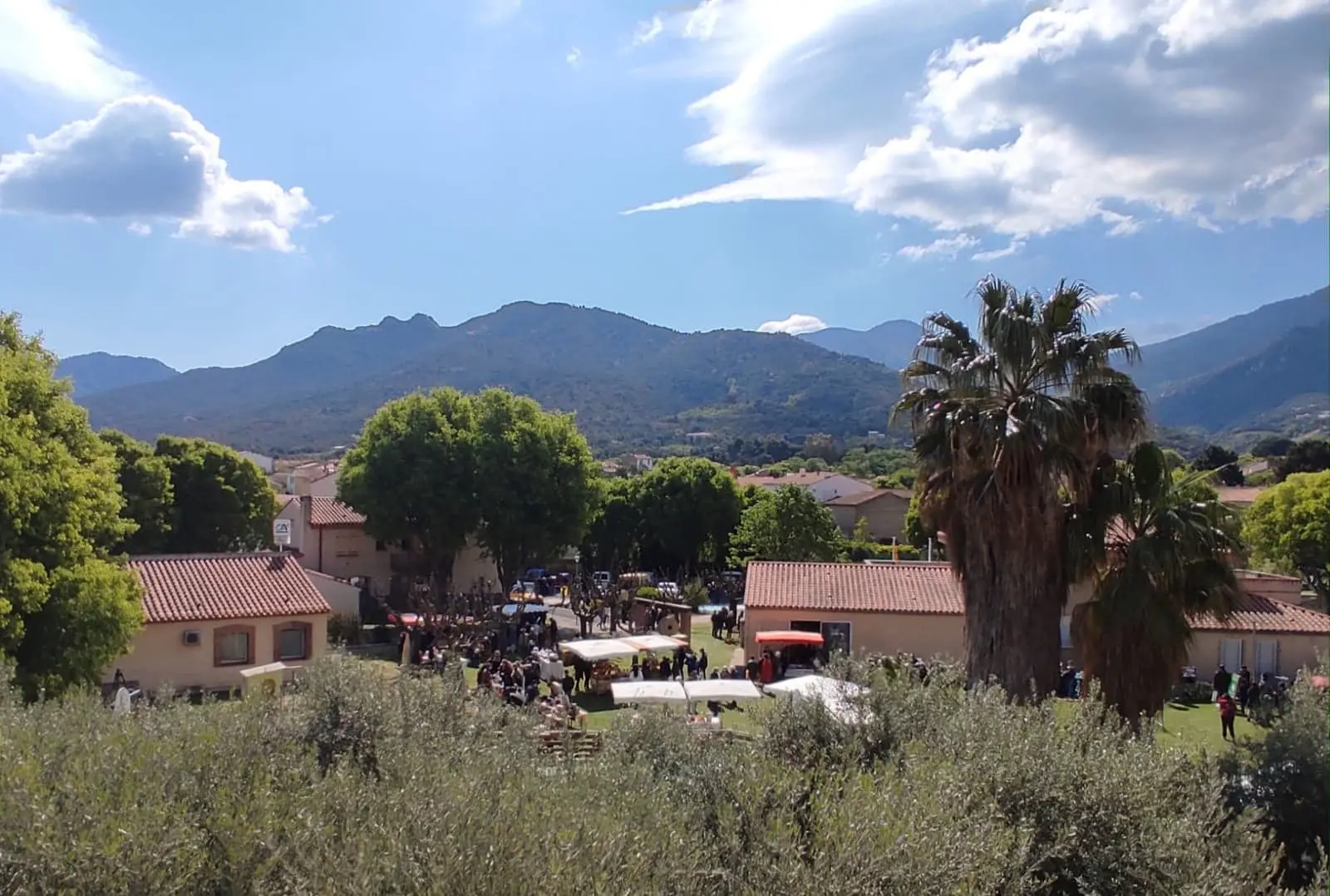 Fête l'huile d'olive 2021