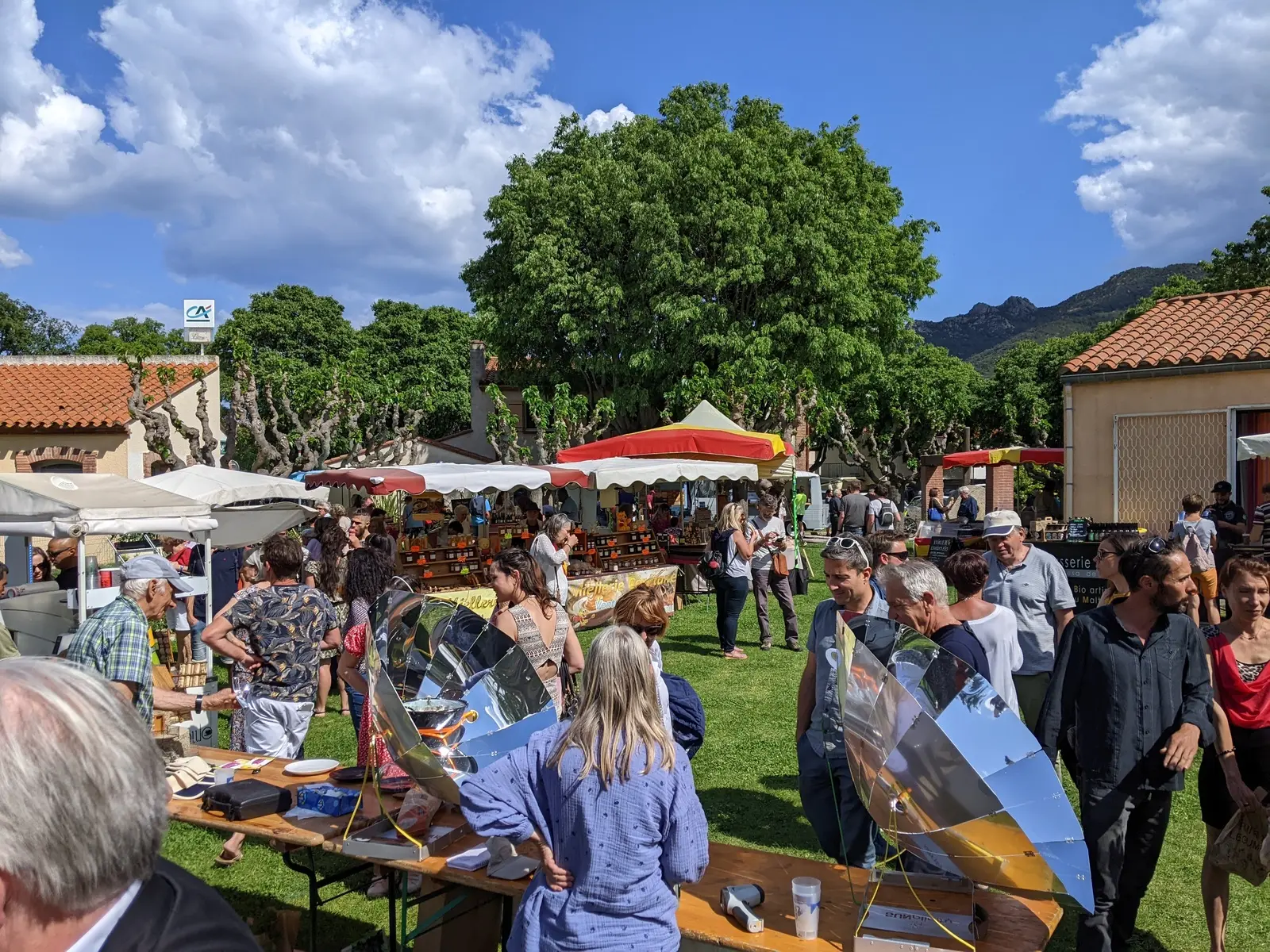 foire huile olive sorede(1)