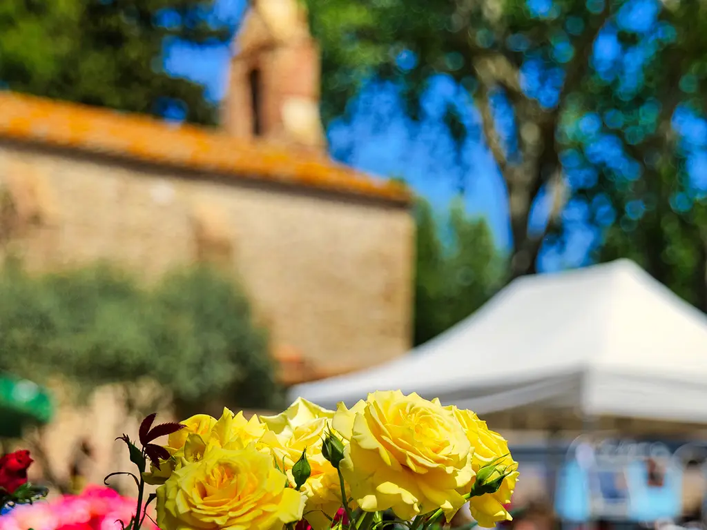TORREILLES FMA VISUEL FLORALIES