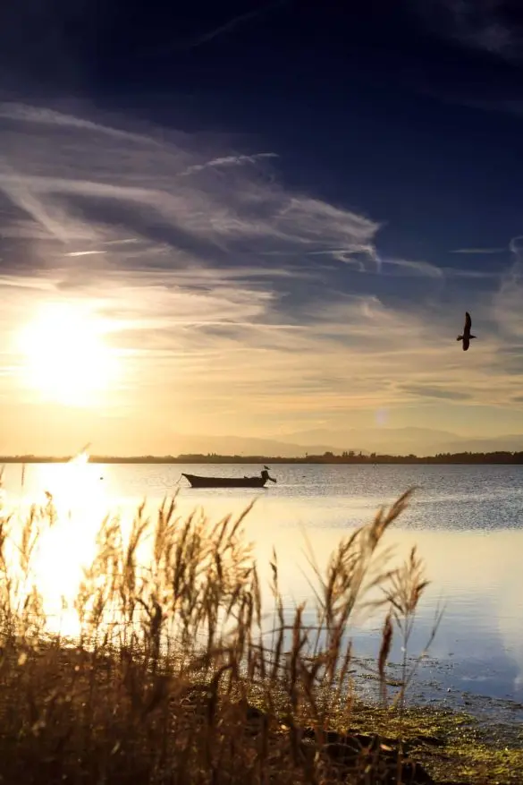 Etang de Canet / Saint Nazaire