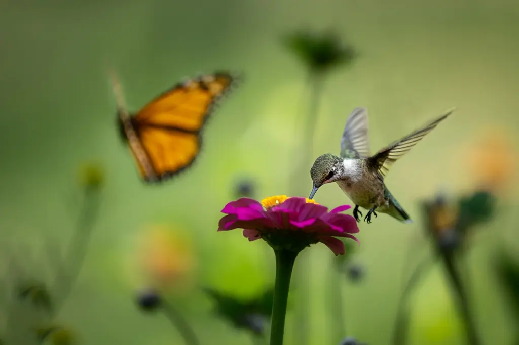 Nature