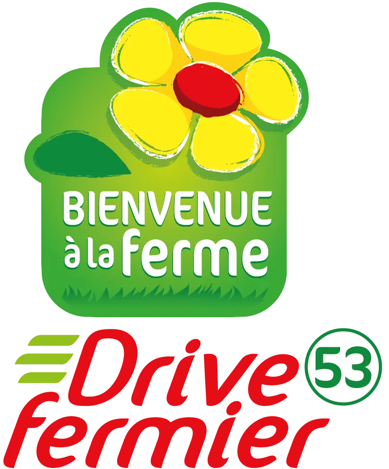 53-V-logo-DF-couleur