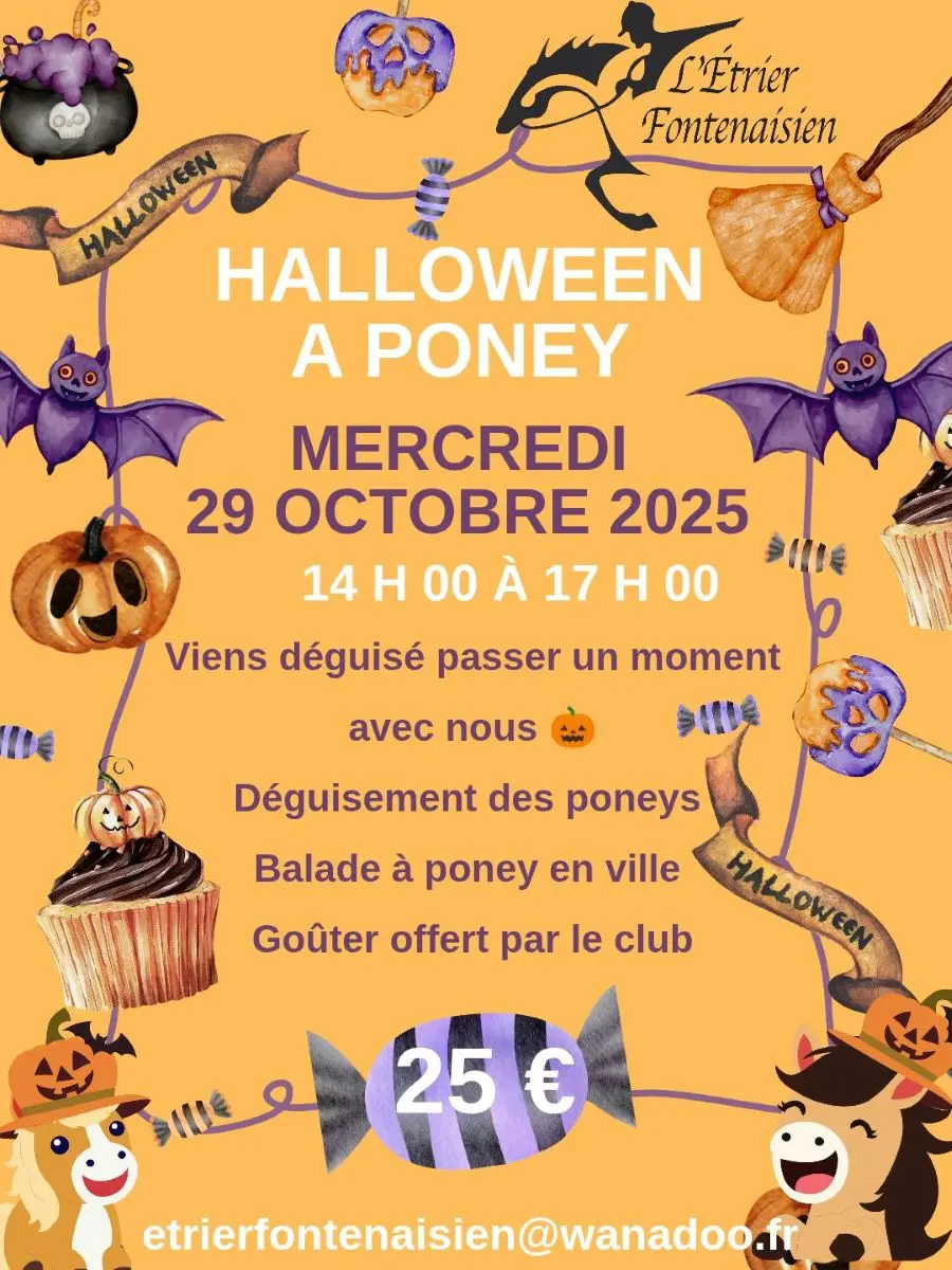 halloween - Fontenay le Comte - 85