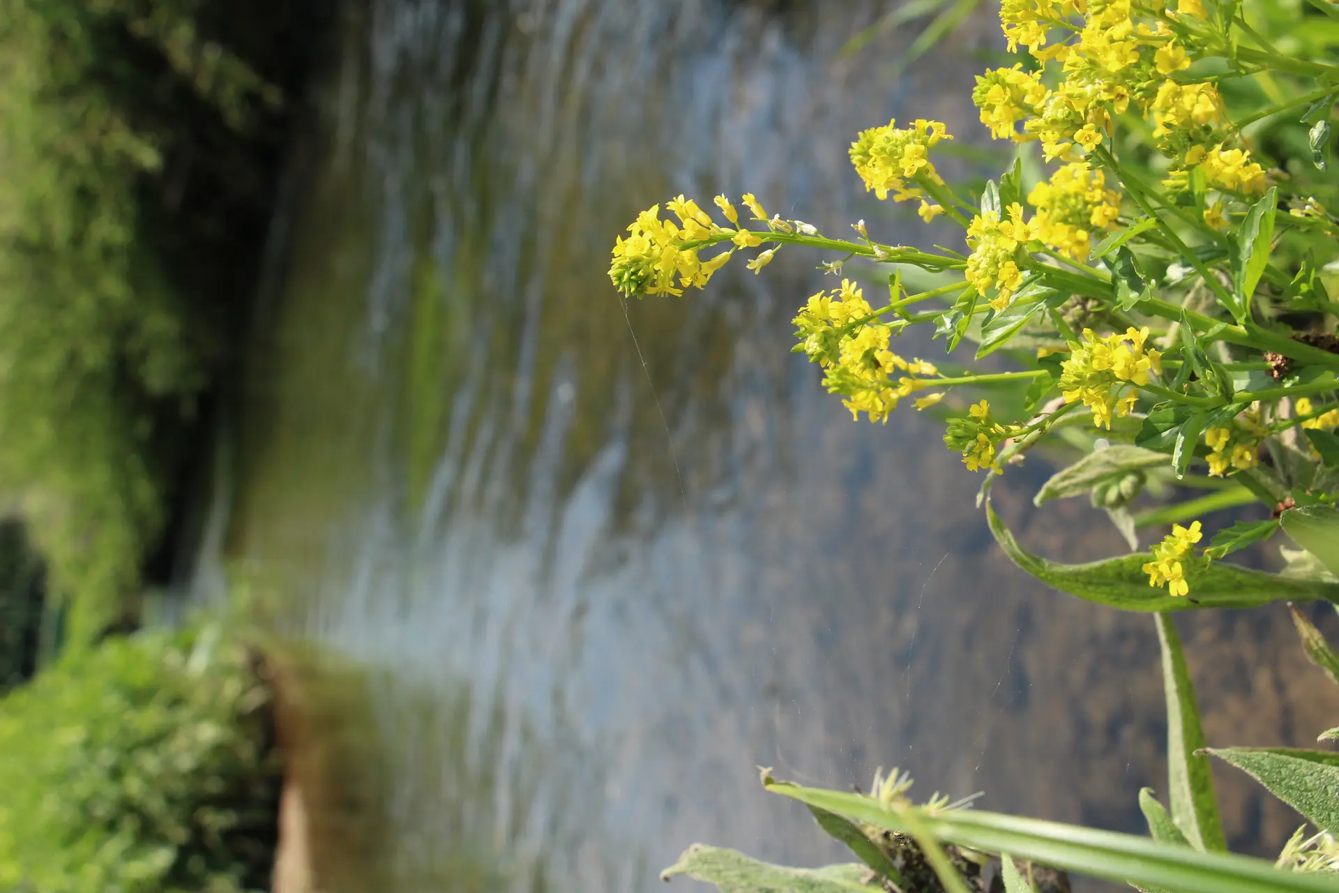 @OTVBA-Avril2019-Nature (3)