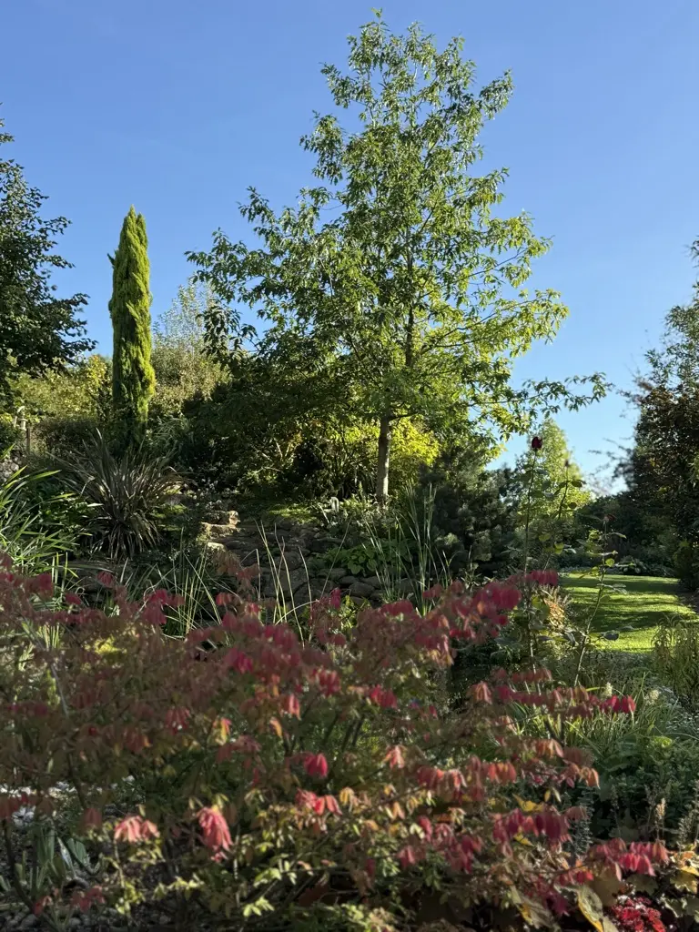 Première couleur d'Automne