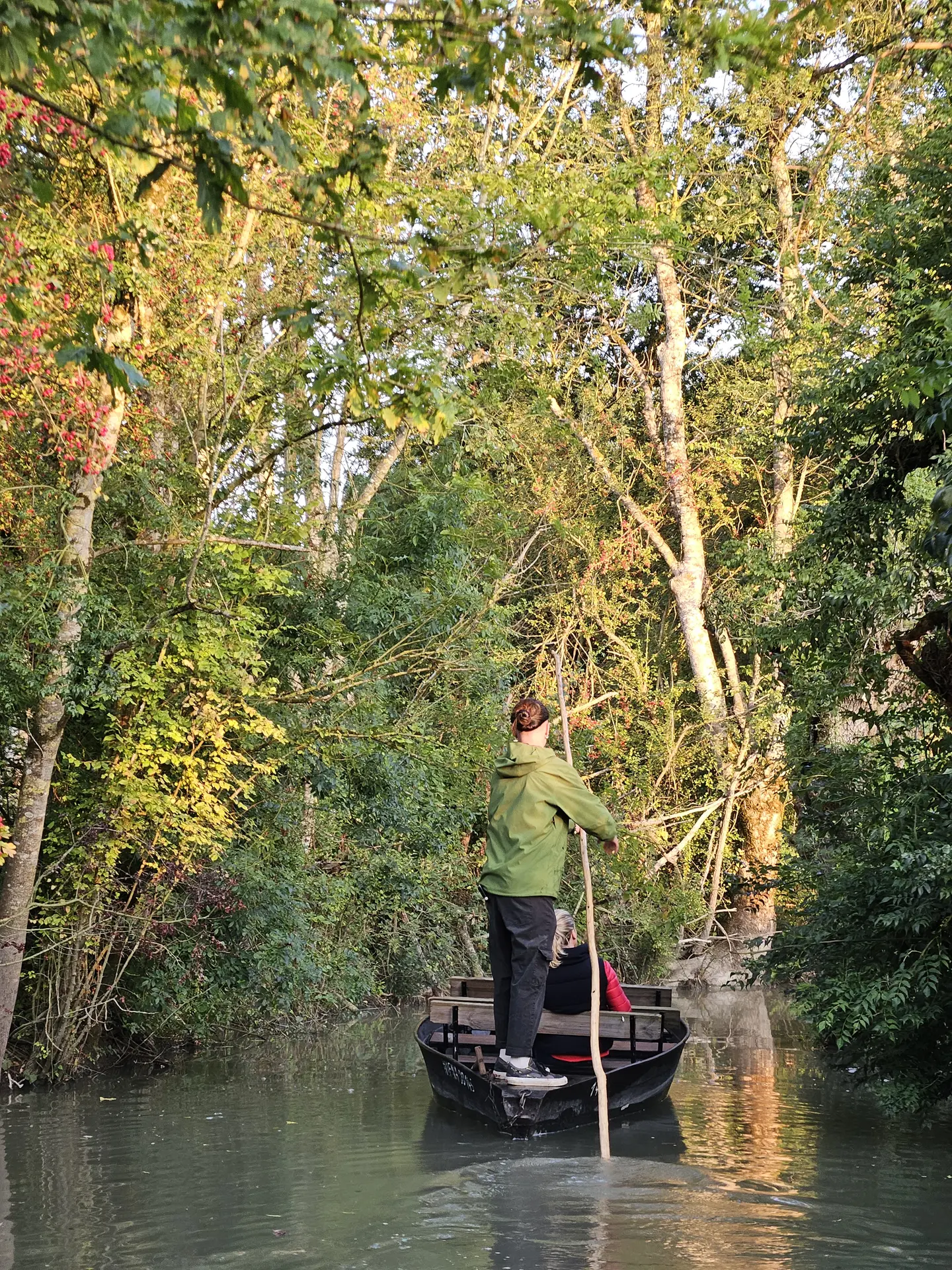 Le marais s'éveille - Saint Sigismond