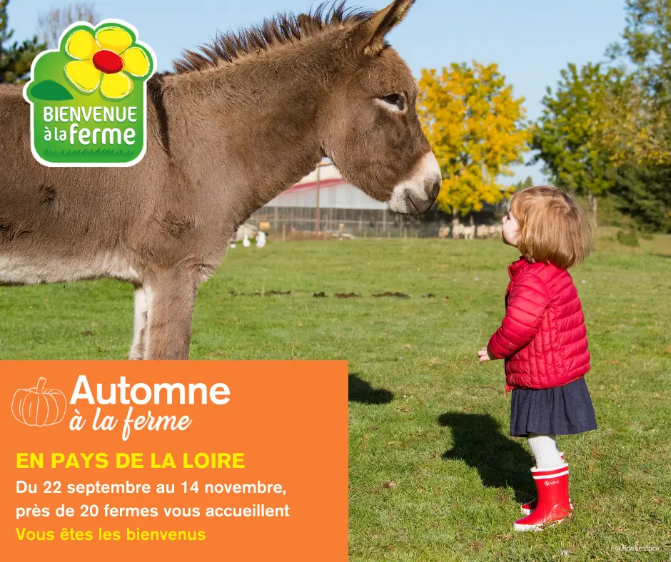 2025_AUTOMNE BAF - Facebook Post - 1
