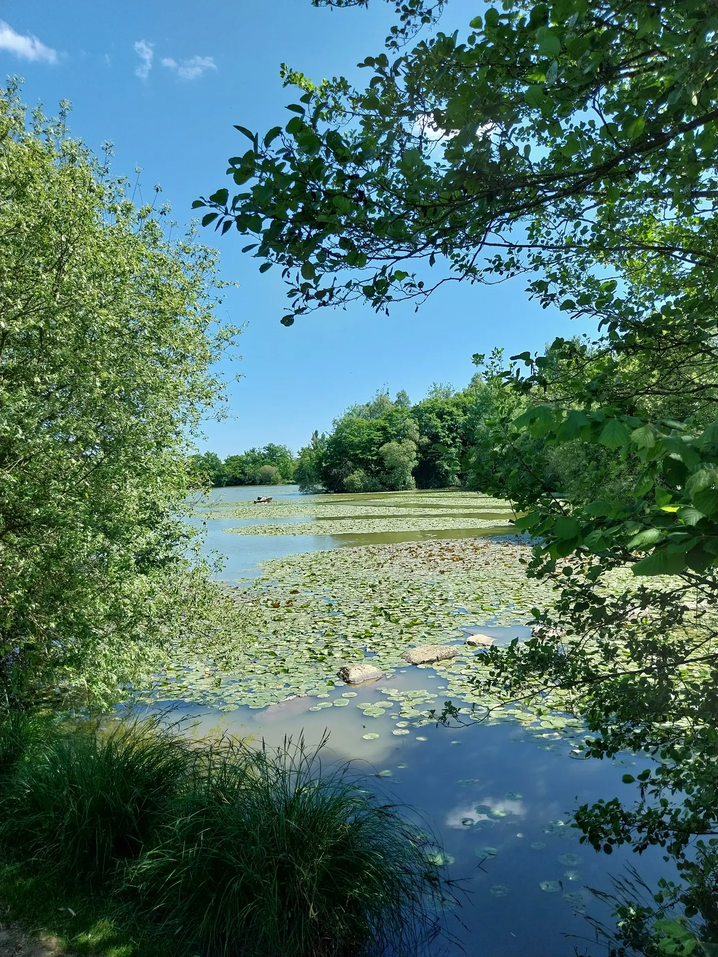 Etang des Perles