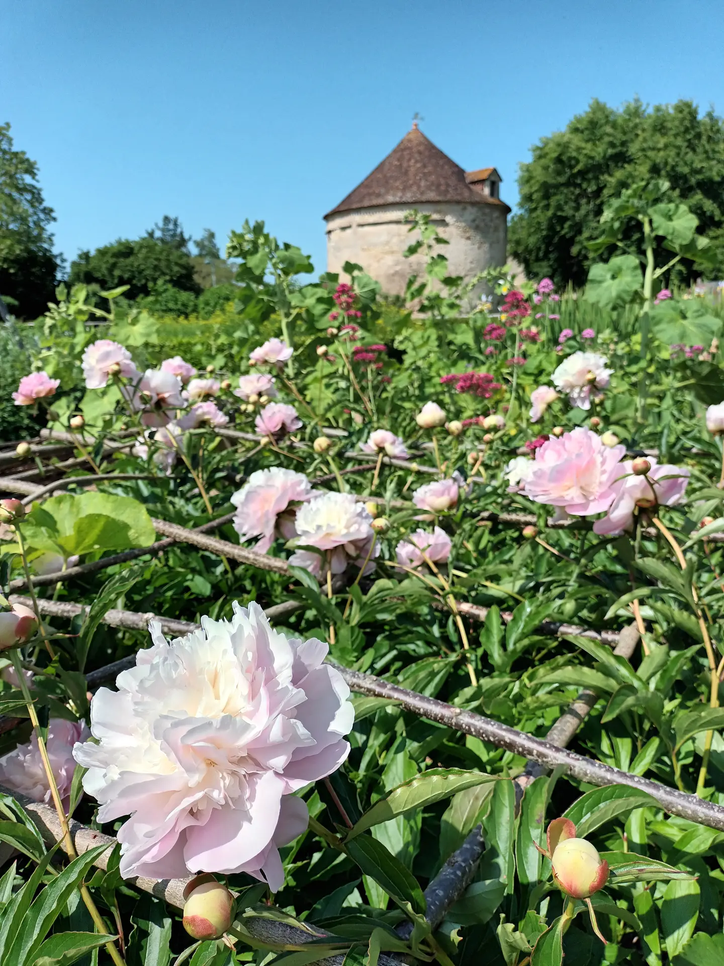 Le jardin et son pigeonnier