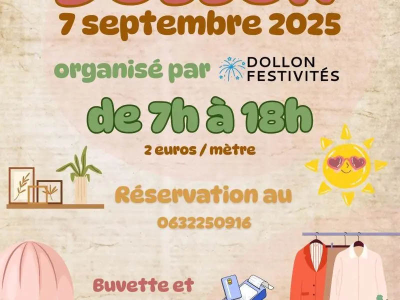 vide grenier DF