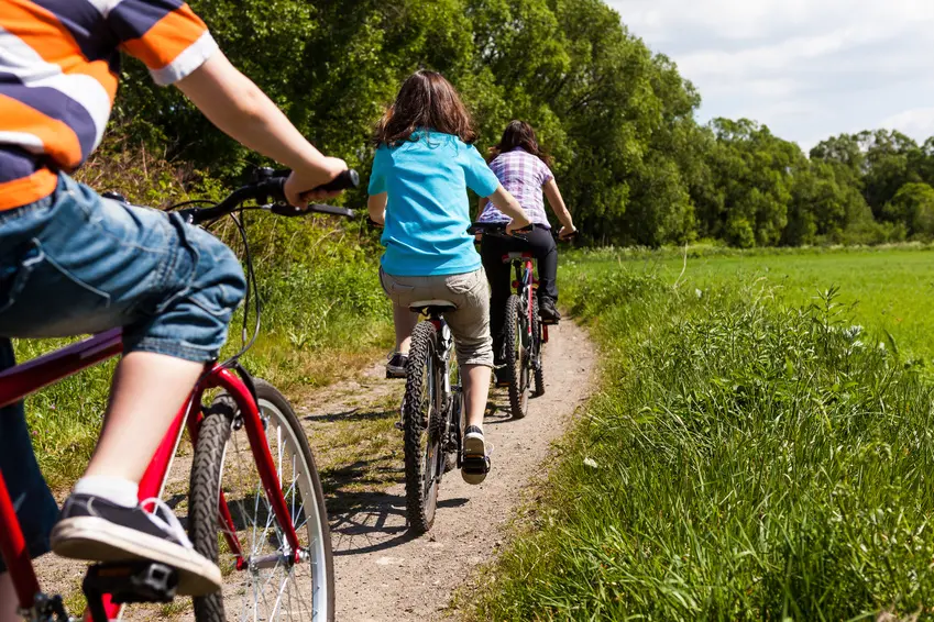 A vélo au Pays de La Châtaigneraie