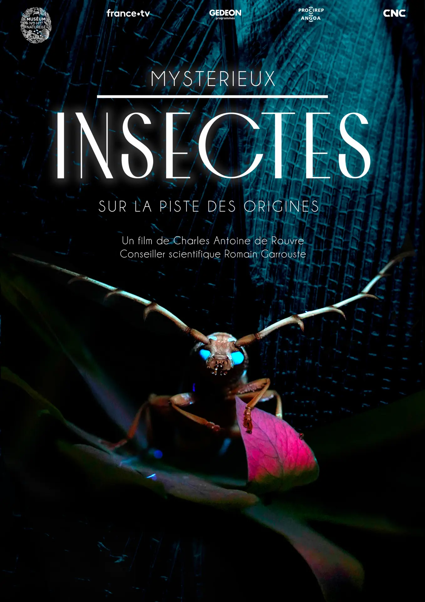 Affiche Mystérieux insectes, sur la piste des origines