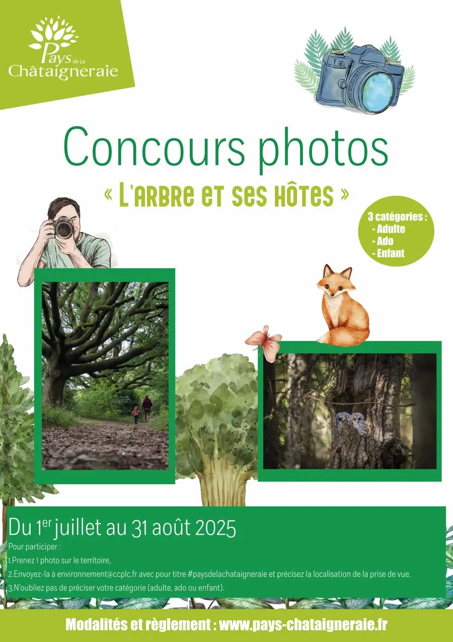 Affiche Concours - Pays de la Châtaigneraie