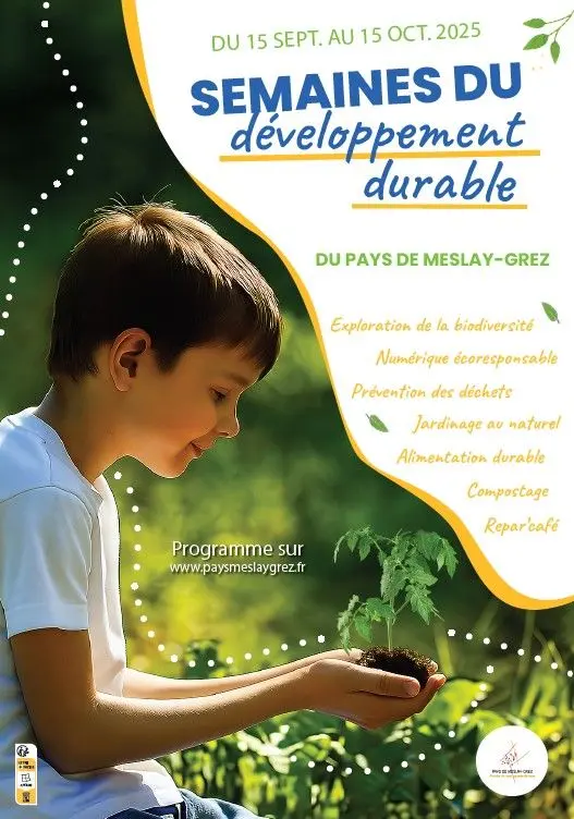 Affiche-SEDD