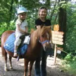 Balade à poney