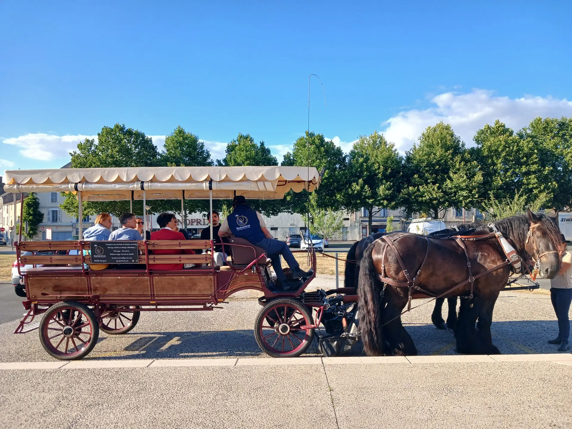 Balade en calèche (8)