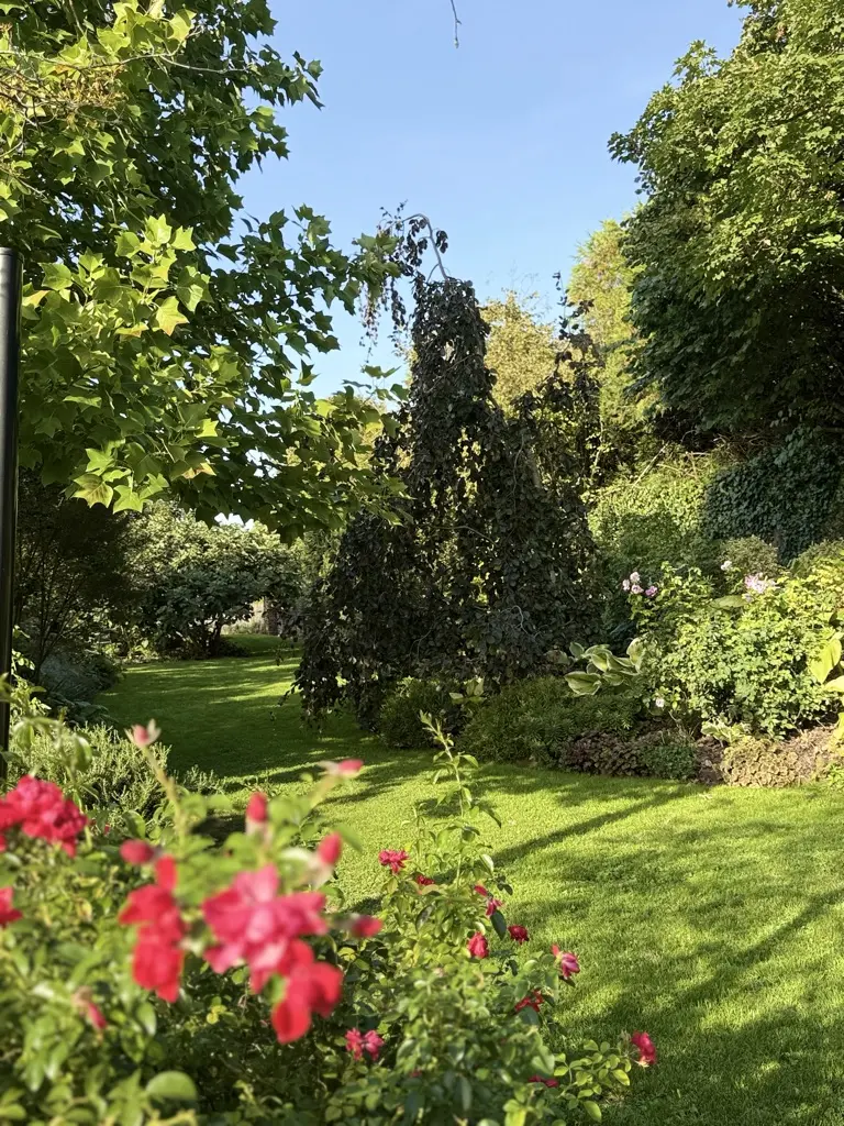 Vue jardin