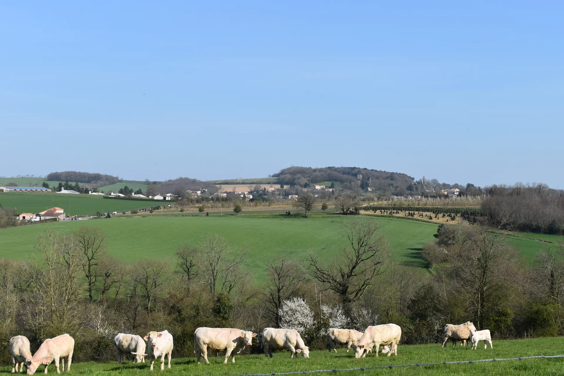 campagne au Pays de la Châtaigneraie