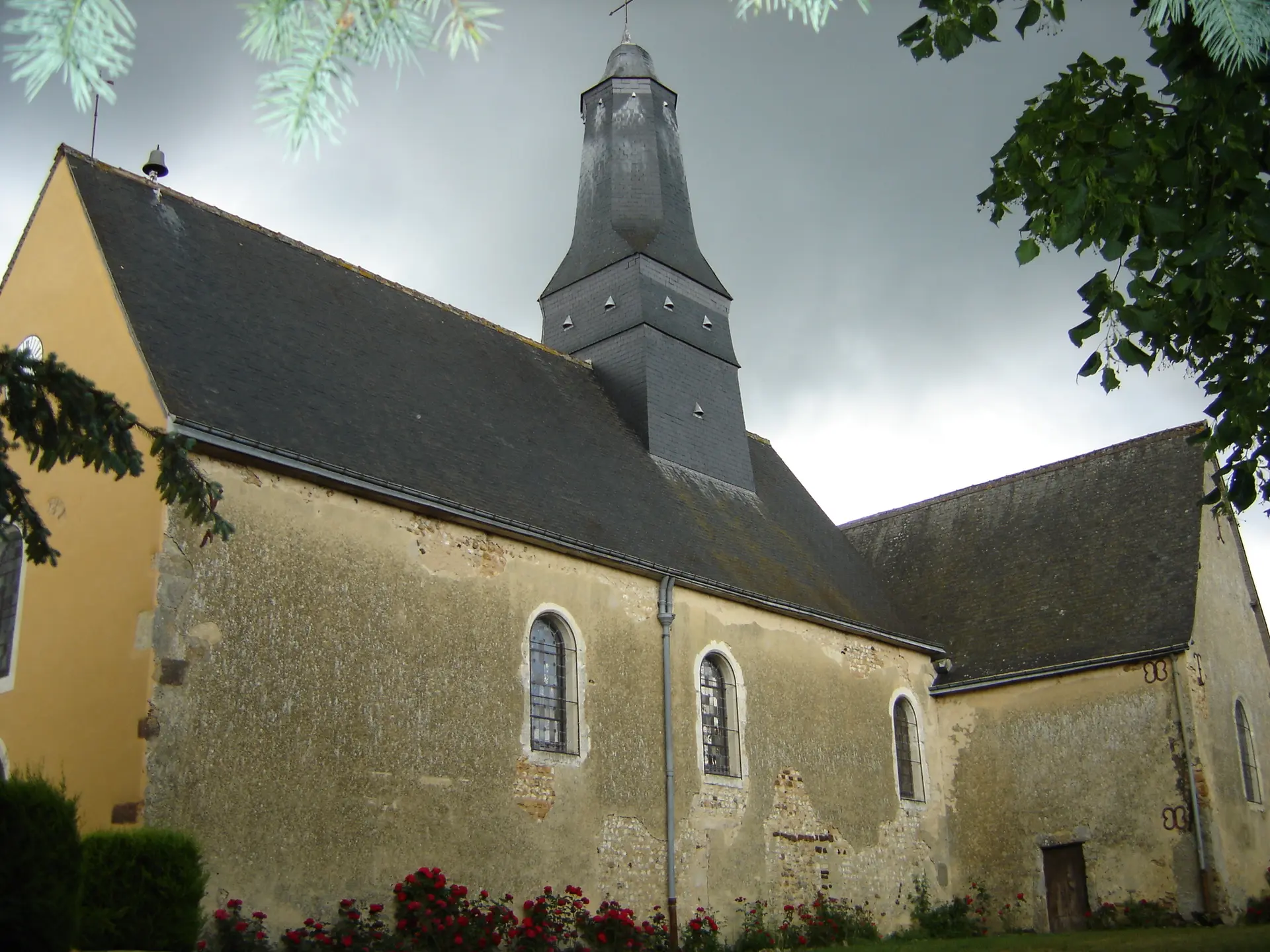 DSC00920