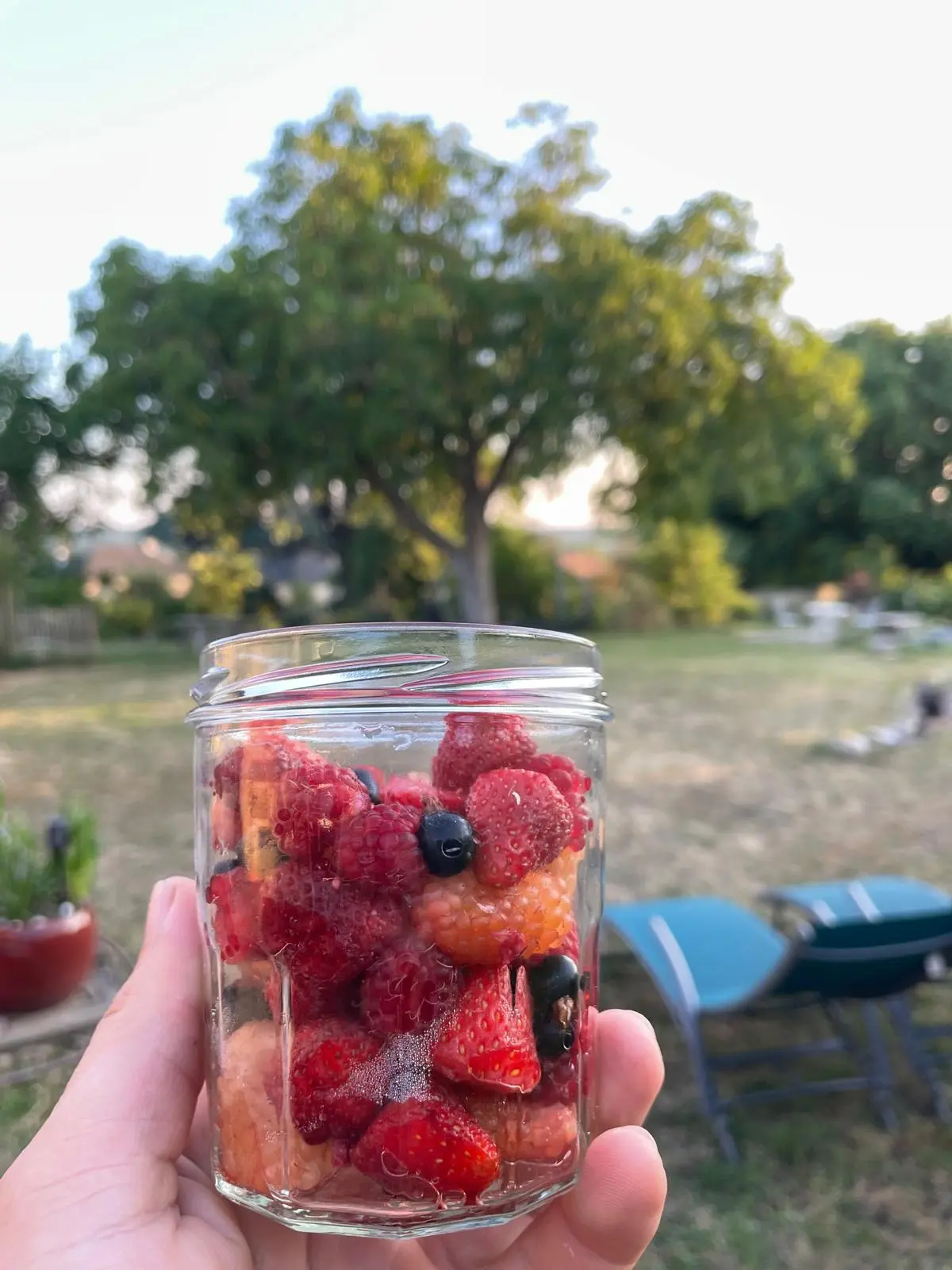 Cueillette petits fruits