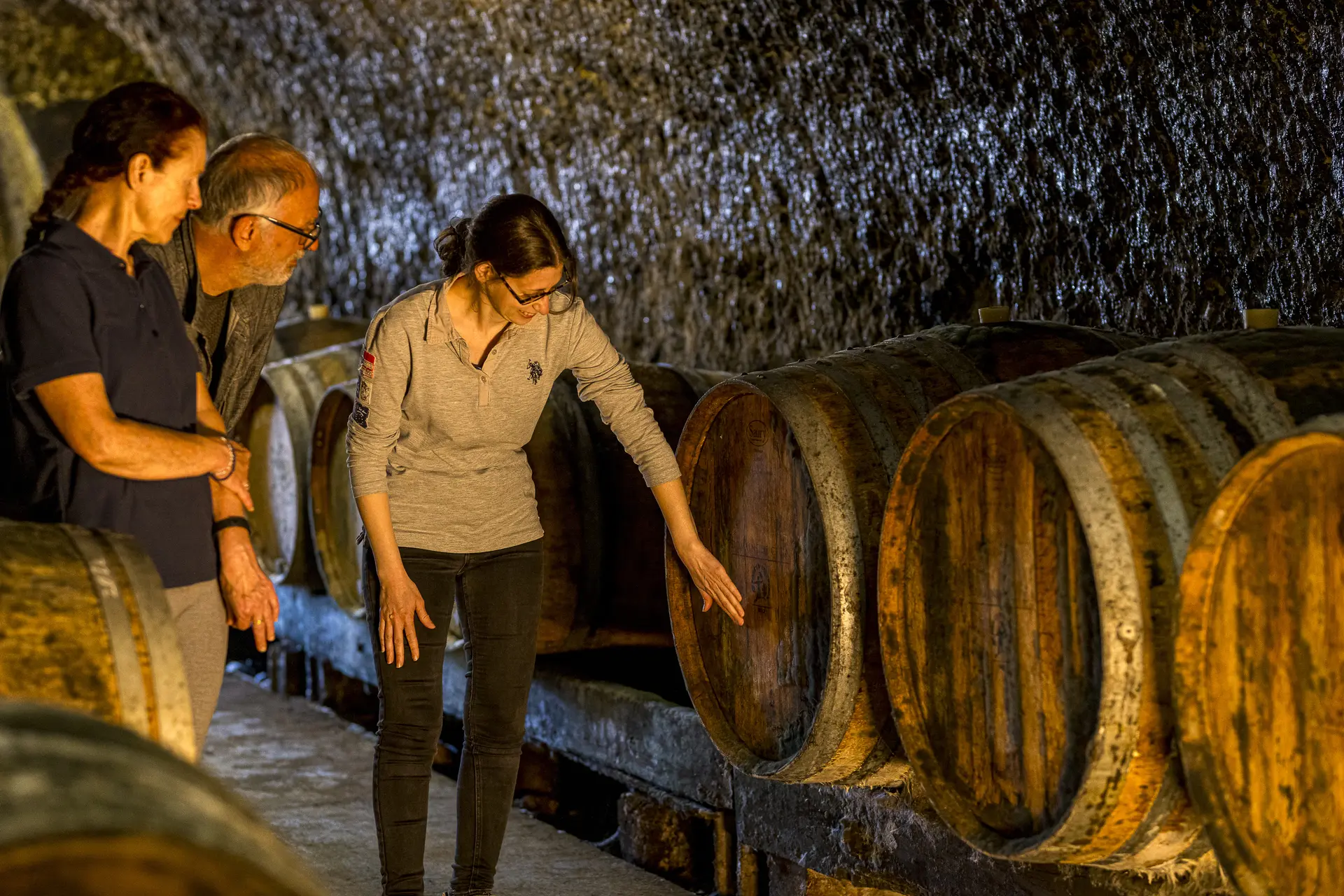 Domaine_de_Cezin_-_Cave_-_2025_-_David_Darrault_(13)