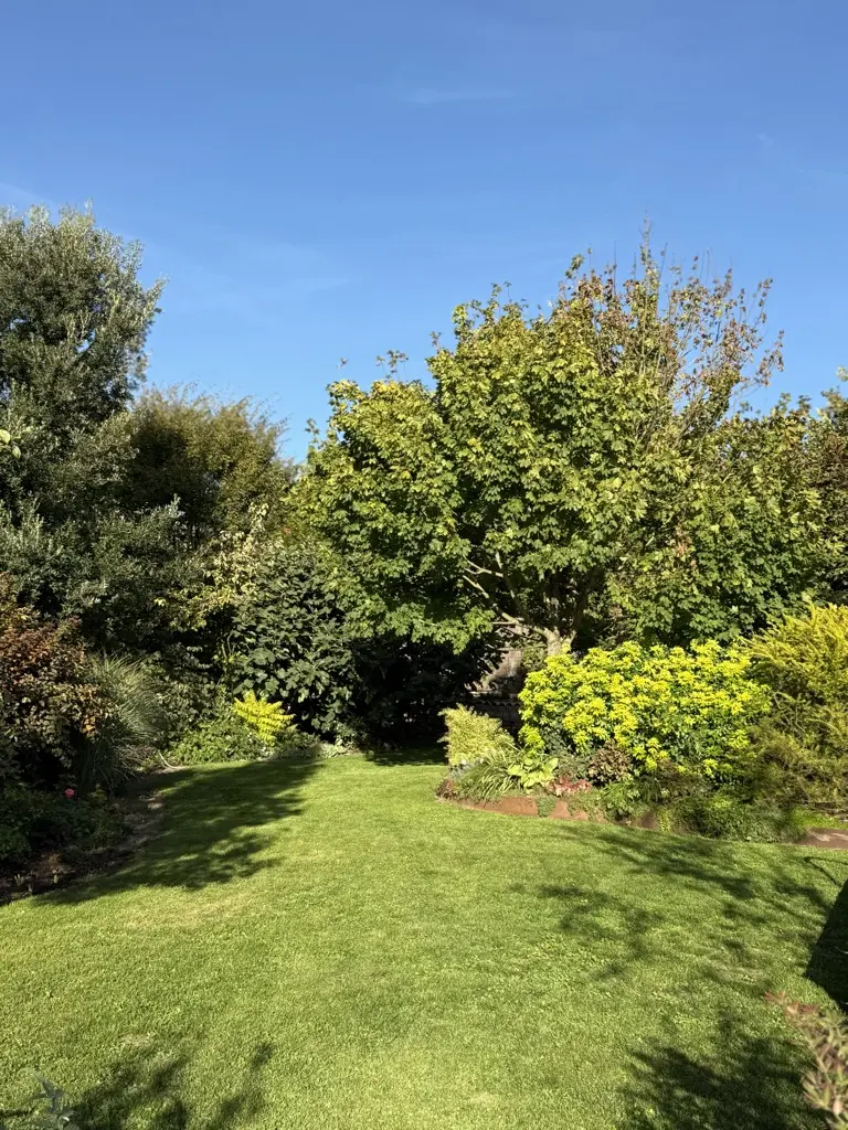 Vue jardin