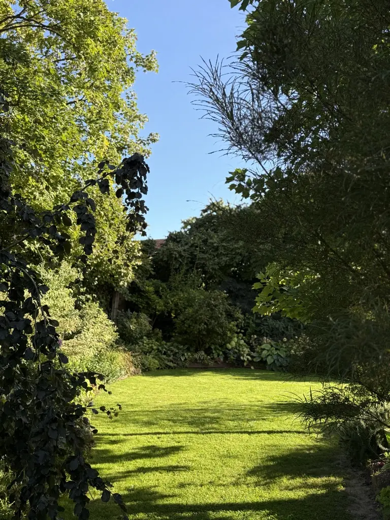 Vue jardin