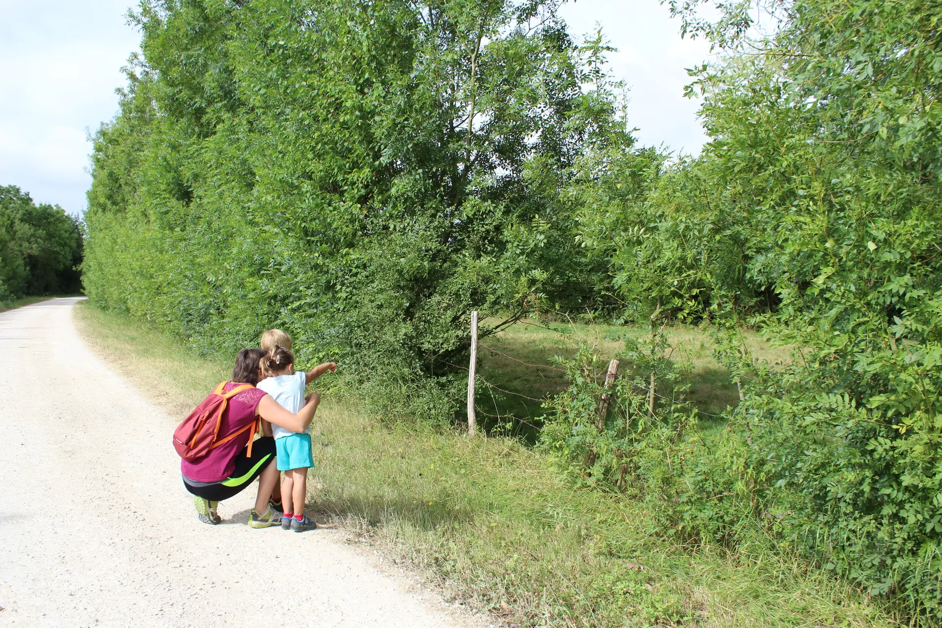 sentier des bois blancs