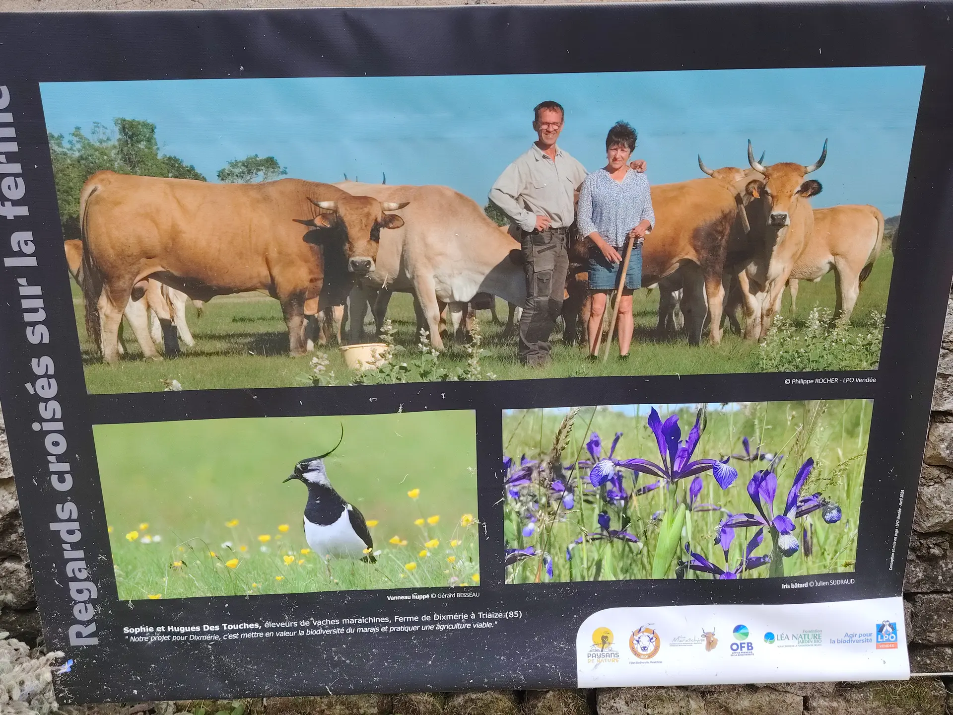 Agriculteur Triaize