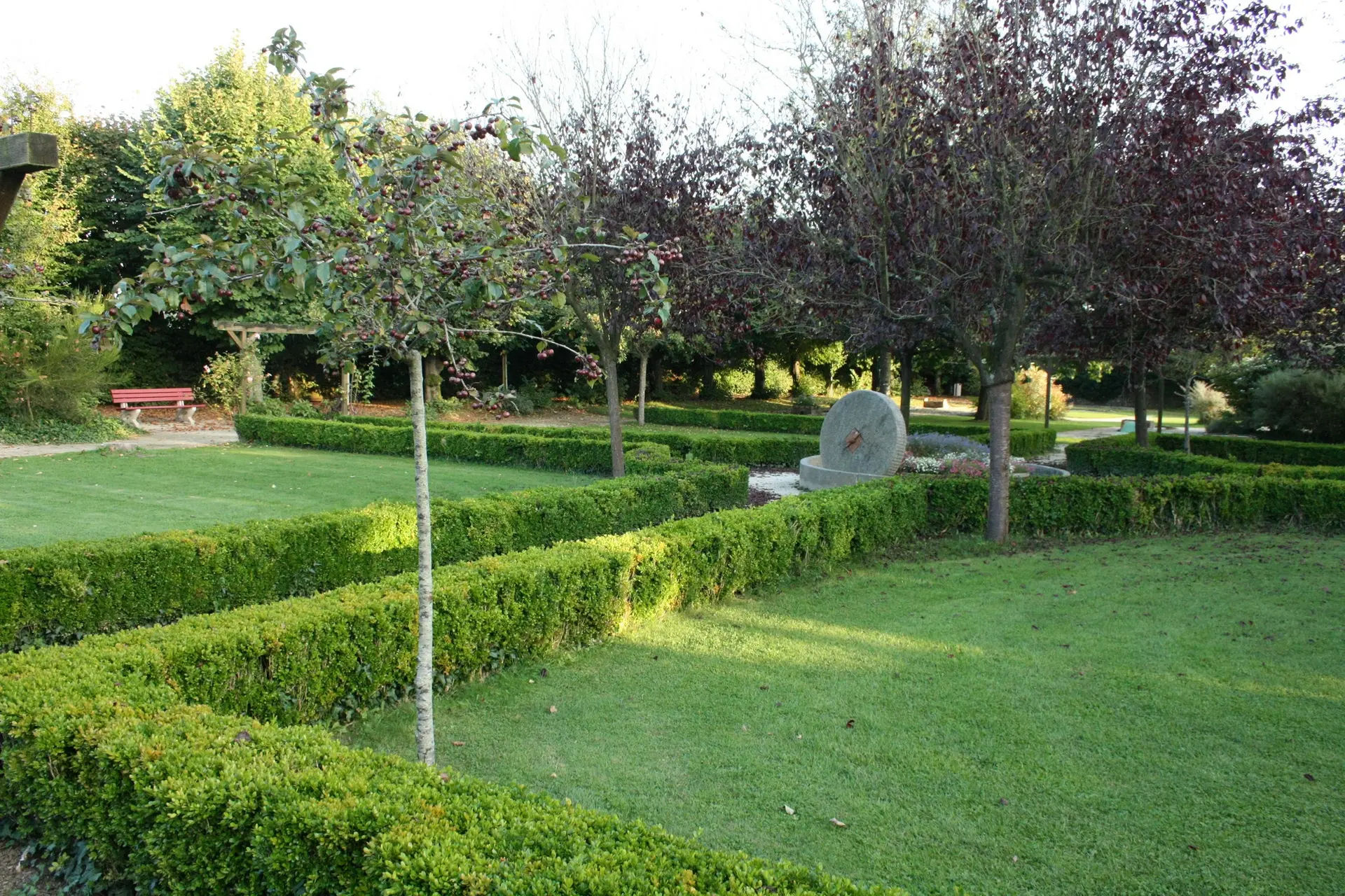 Jardin de curé et sa charmille 1