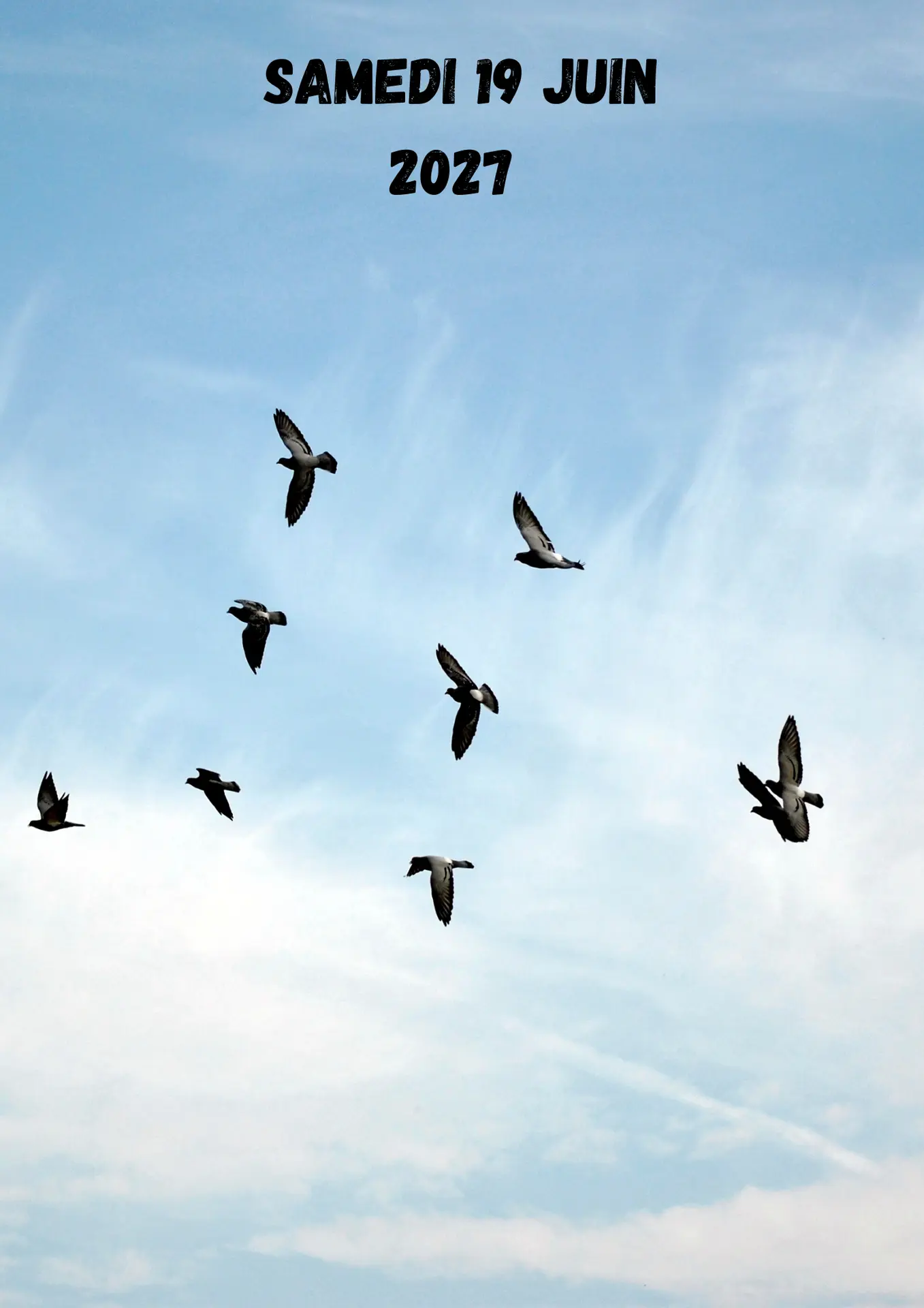 La vocalisation des oiseaux
