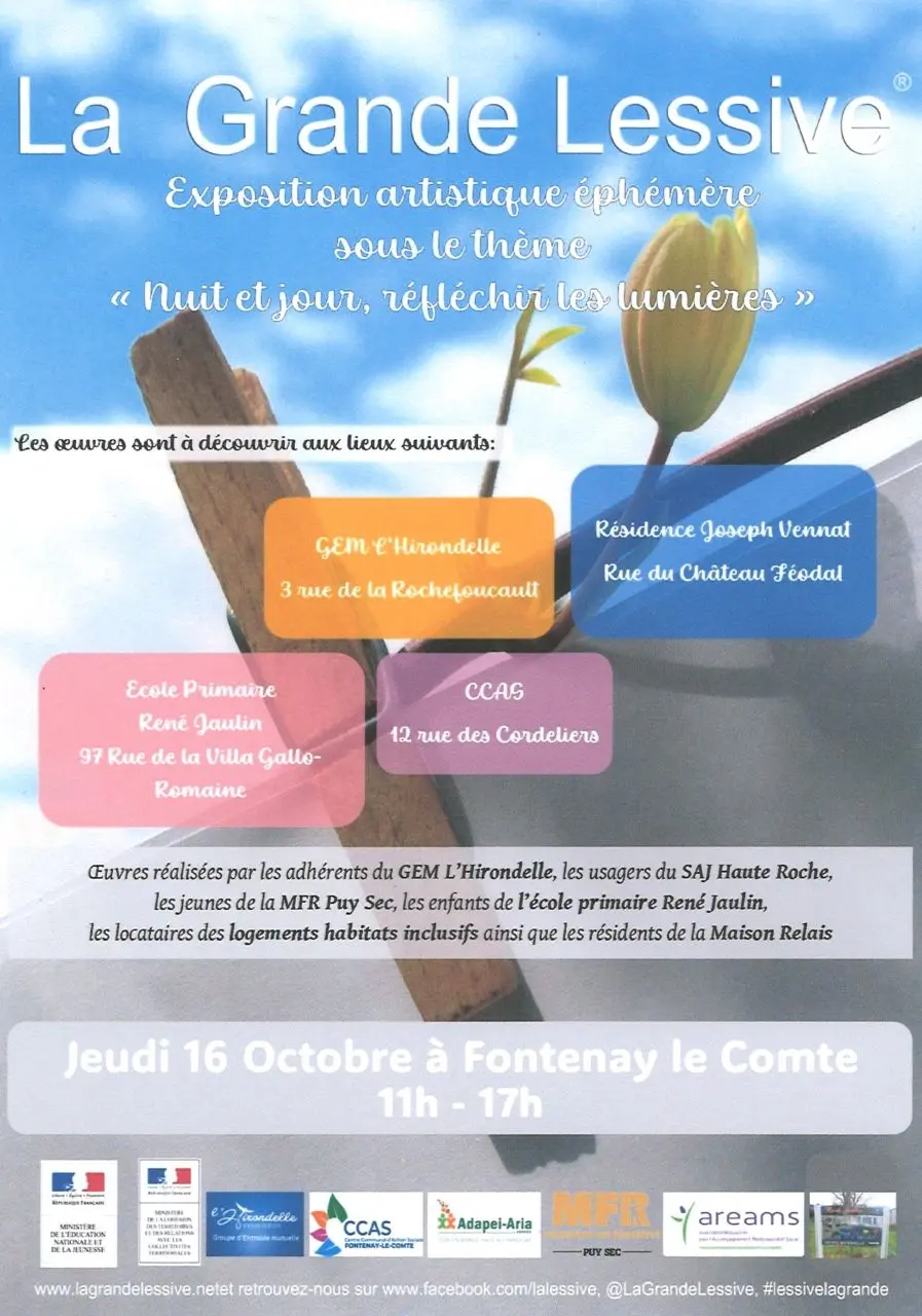La Grande Lessive