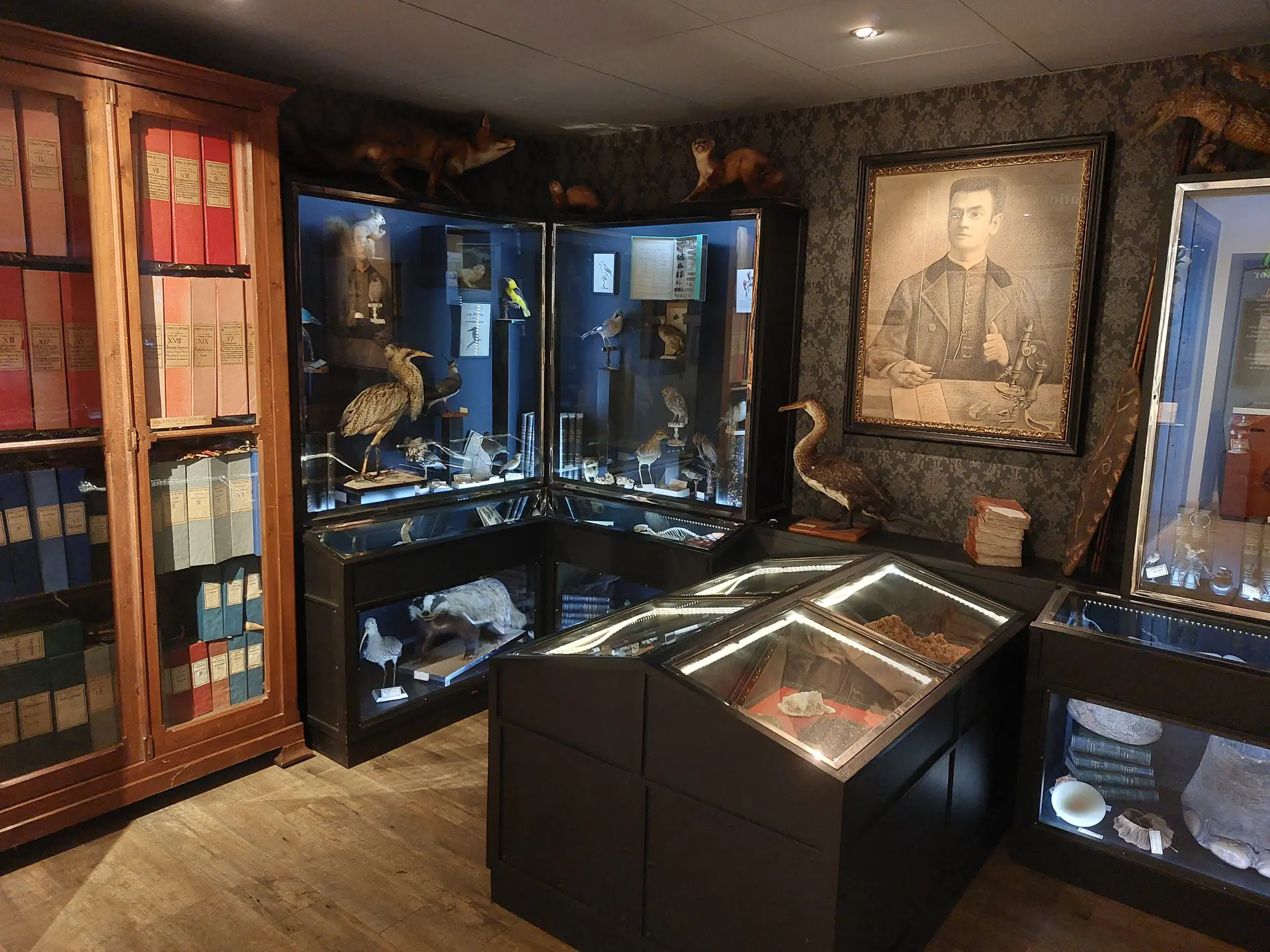 Musée-bibliothèque de Saint-Calais