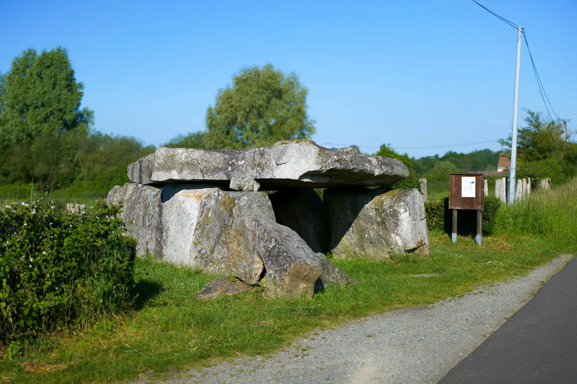 P1037650