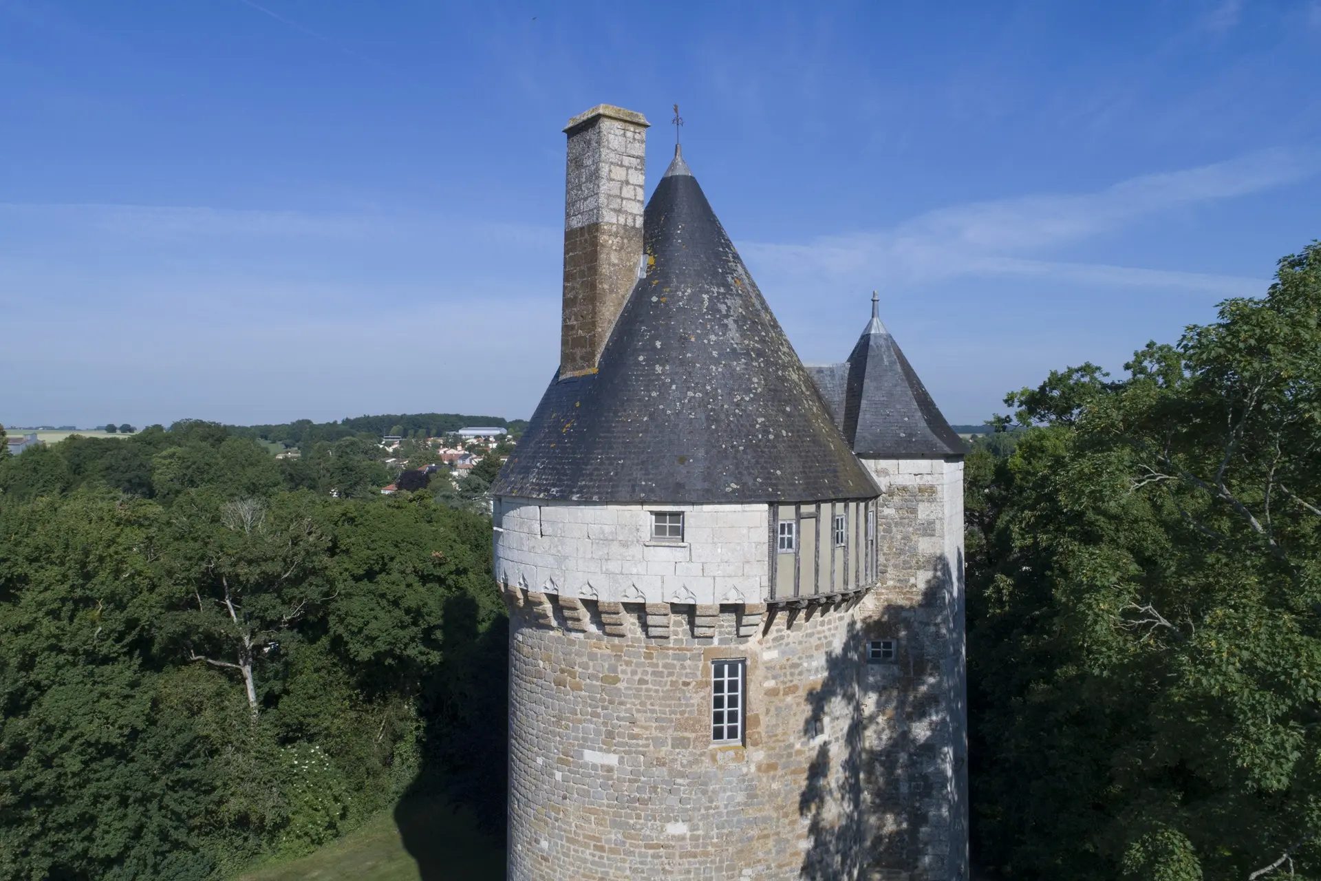 Parc du château de L'Hermenault (3)