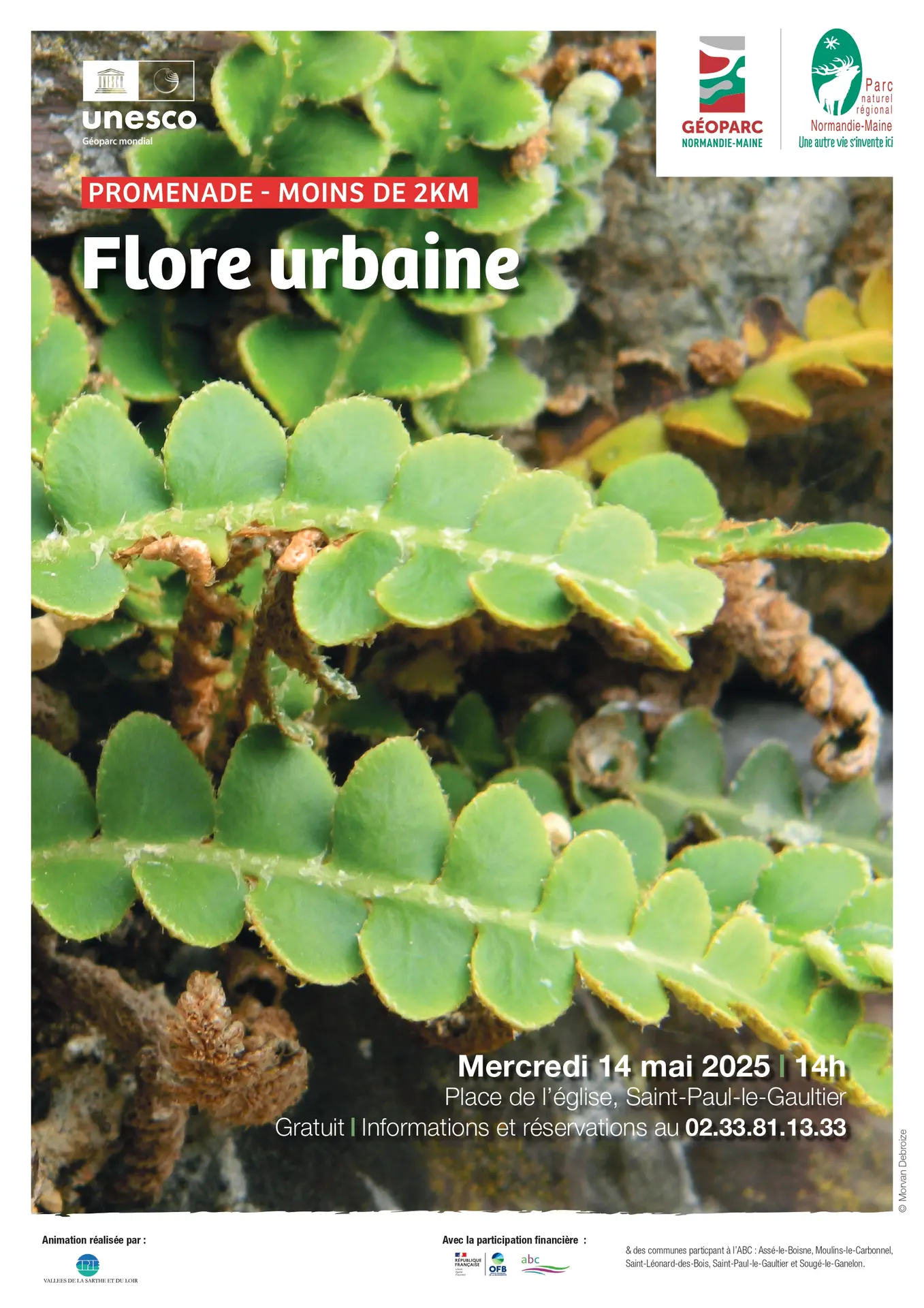 Sortie ABC HSAM Faune urbaine 14 05