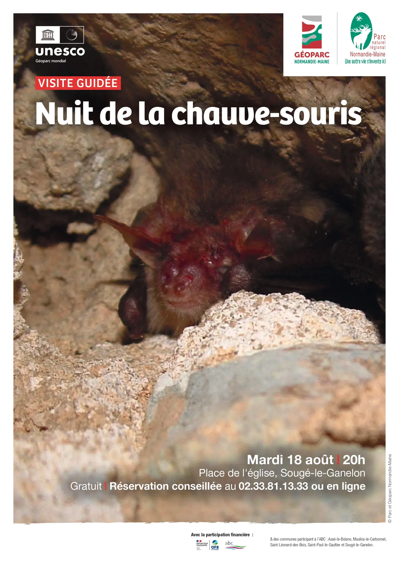 Sortie ABC HSAM Nuit de la chauve-souris 18 08 Sougé