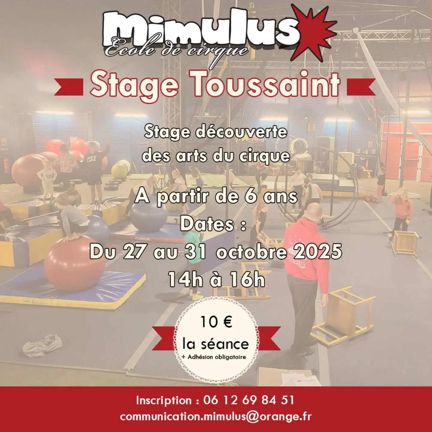 Stages cirque Mimulus octobre 2025