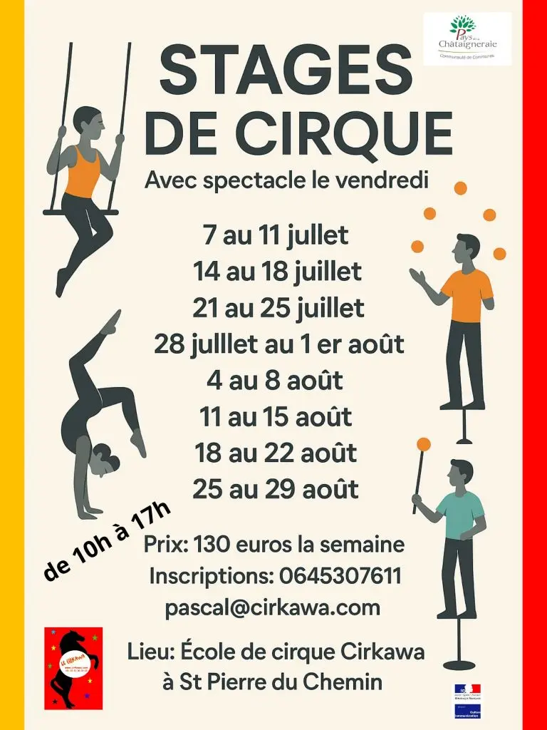 Stages de cirque
