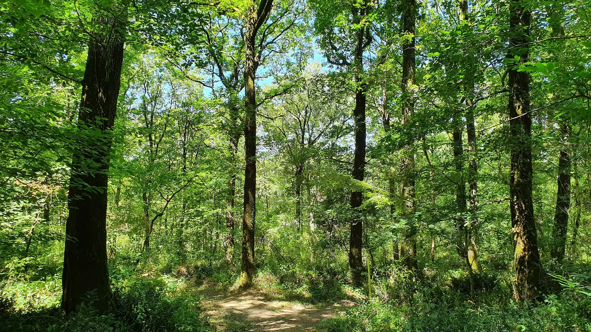 VTT 6 L'Orbrie (1)