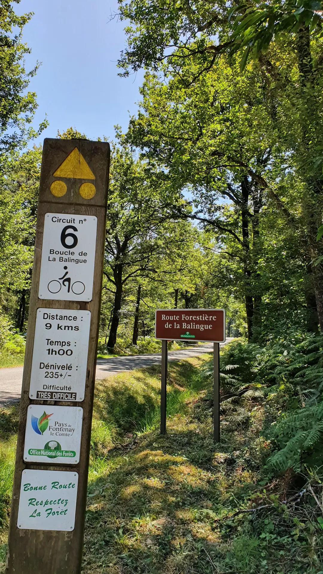 VTT 6 L'Orbrie (2)