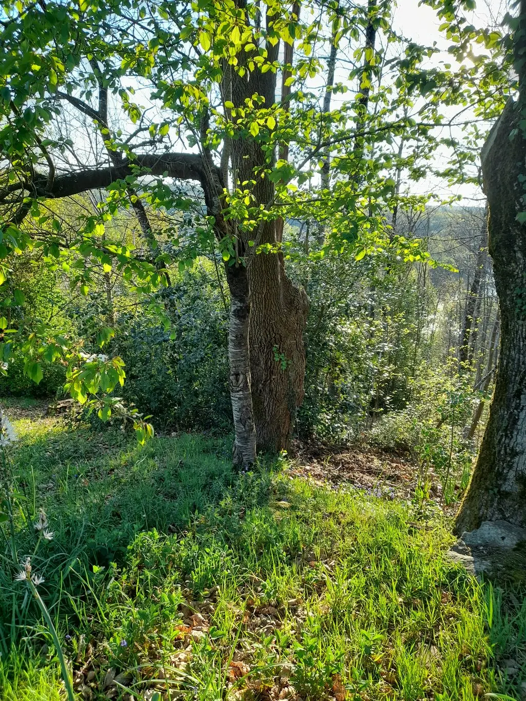 Veillée son et lumière