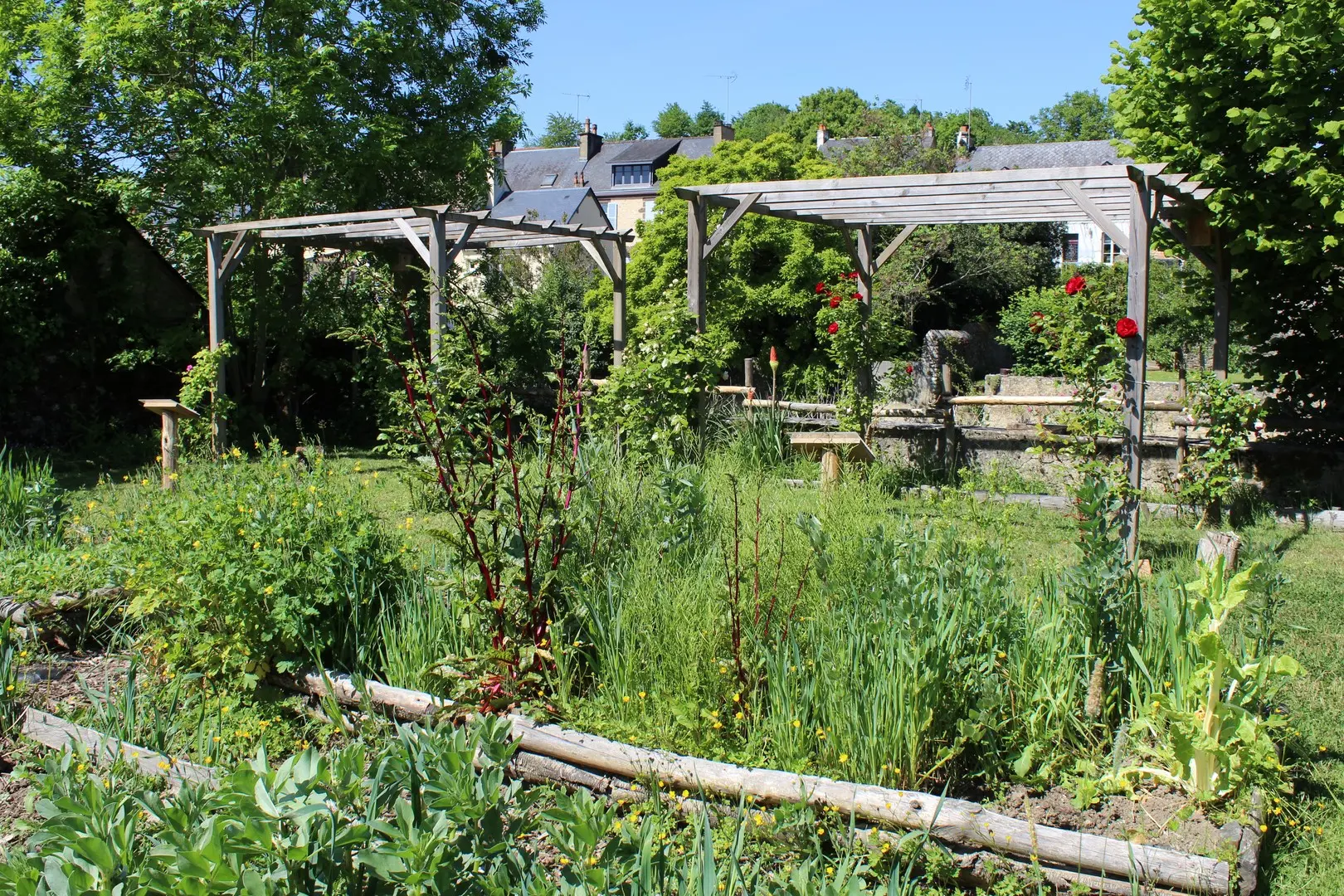 Visite - Tous au jardin médiéval !