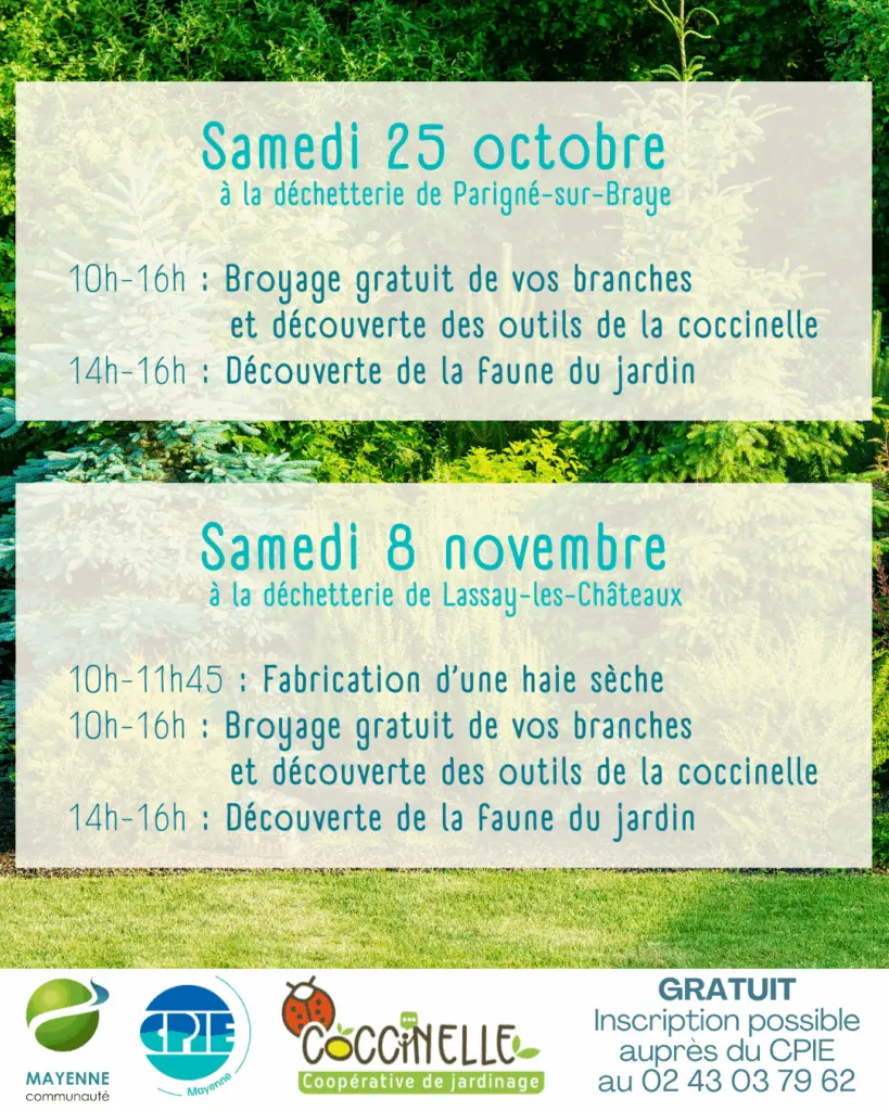 ateliers_coccinelle_2025