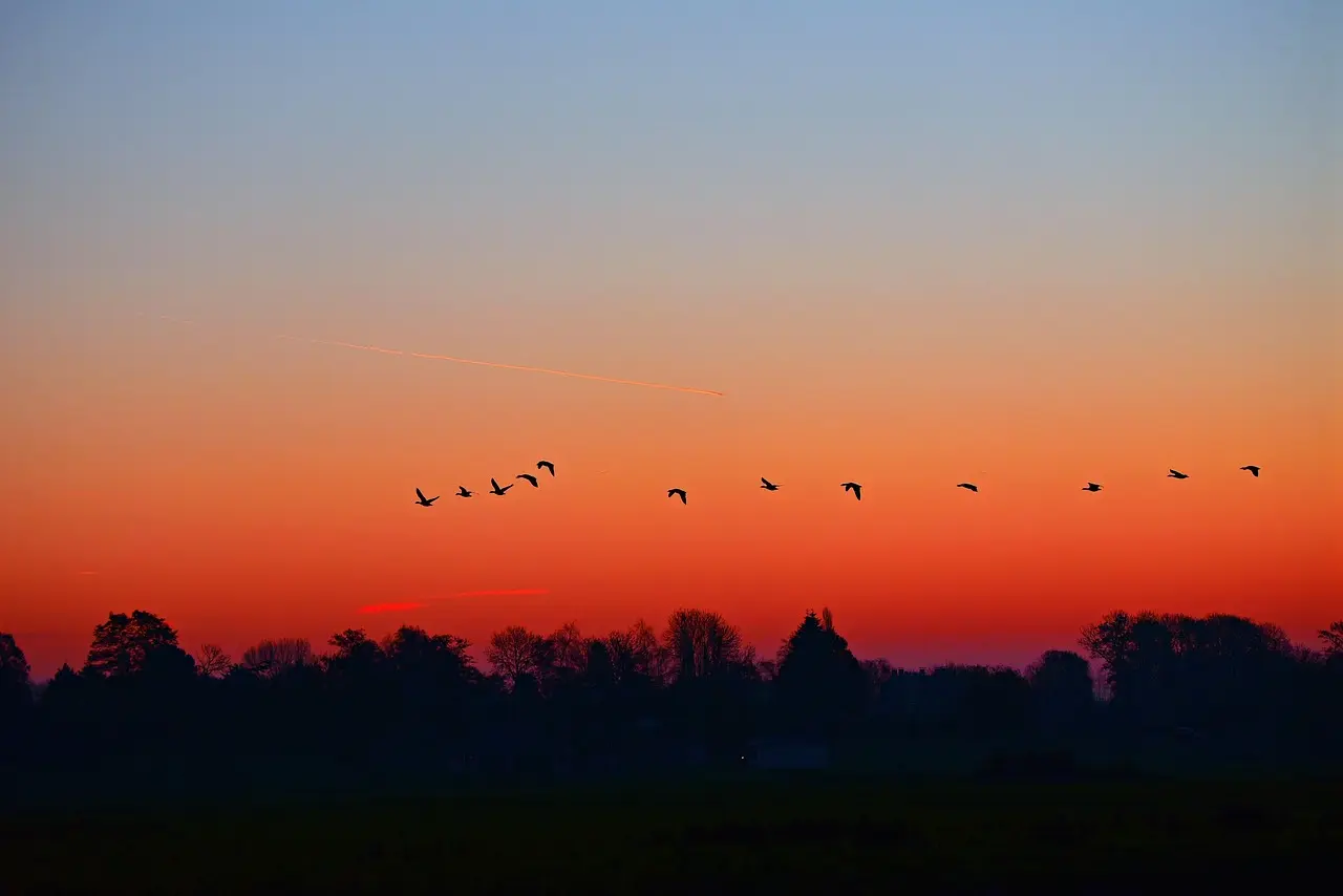 crépuscule le mazeau