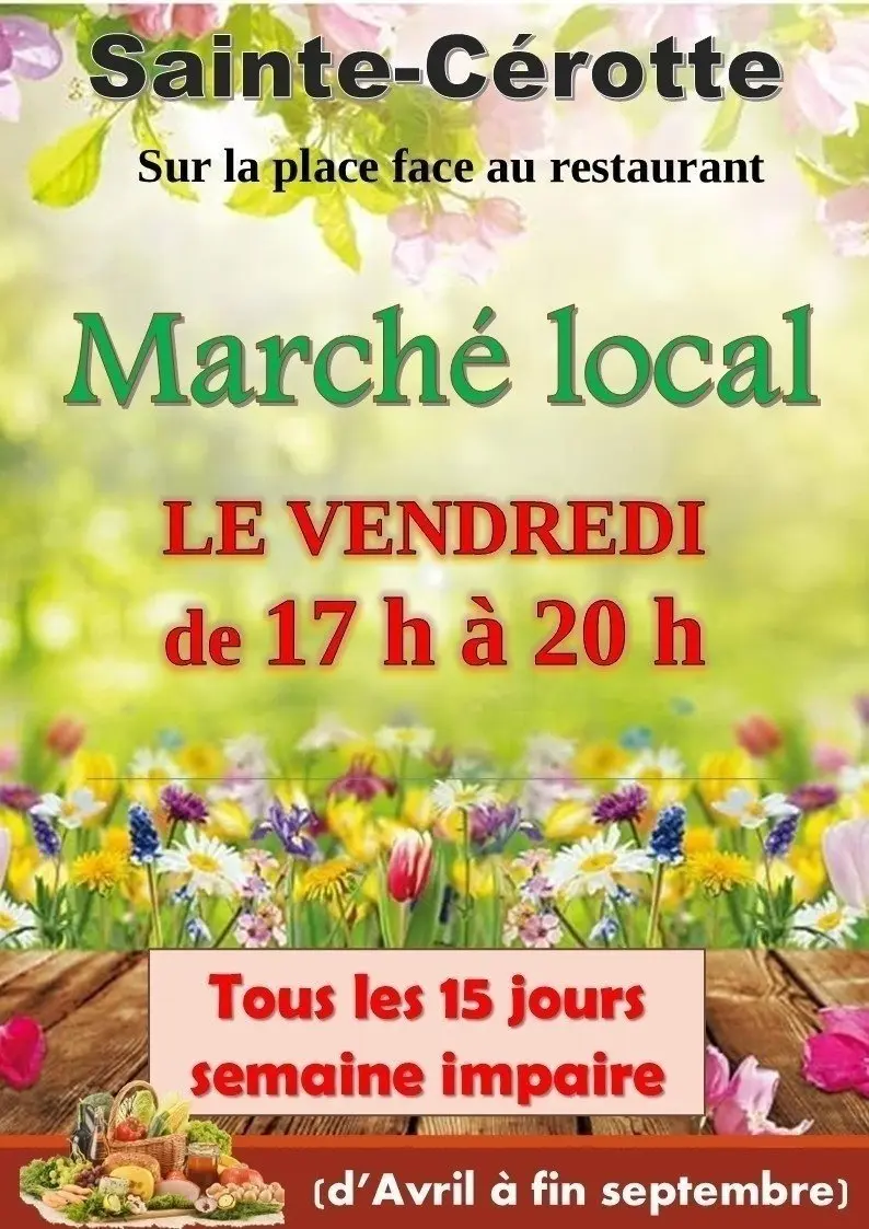 dc499a4e6e6550133a77d7fde19973bb_copie-marc