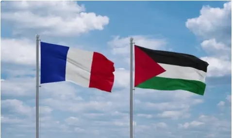 drapeaux france palestine