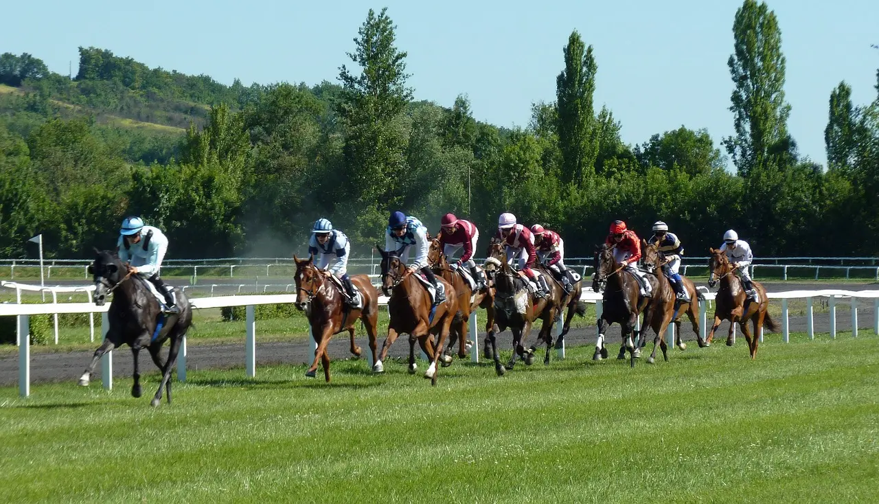 Courses hippiques